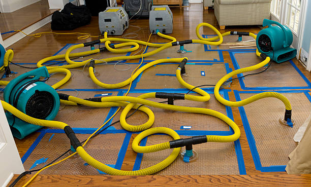 Professional Basement Flood Cleanup technician working in Crump, TN